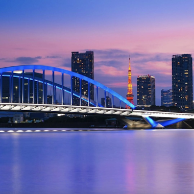 Tokyo Night Cruise