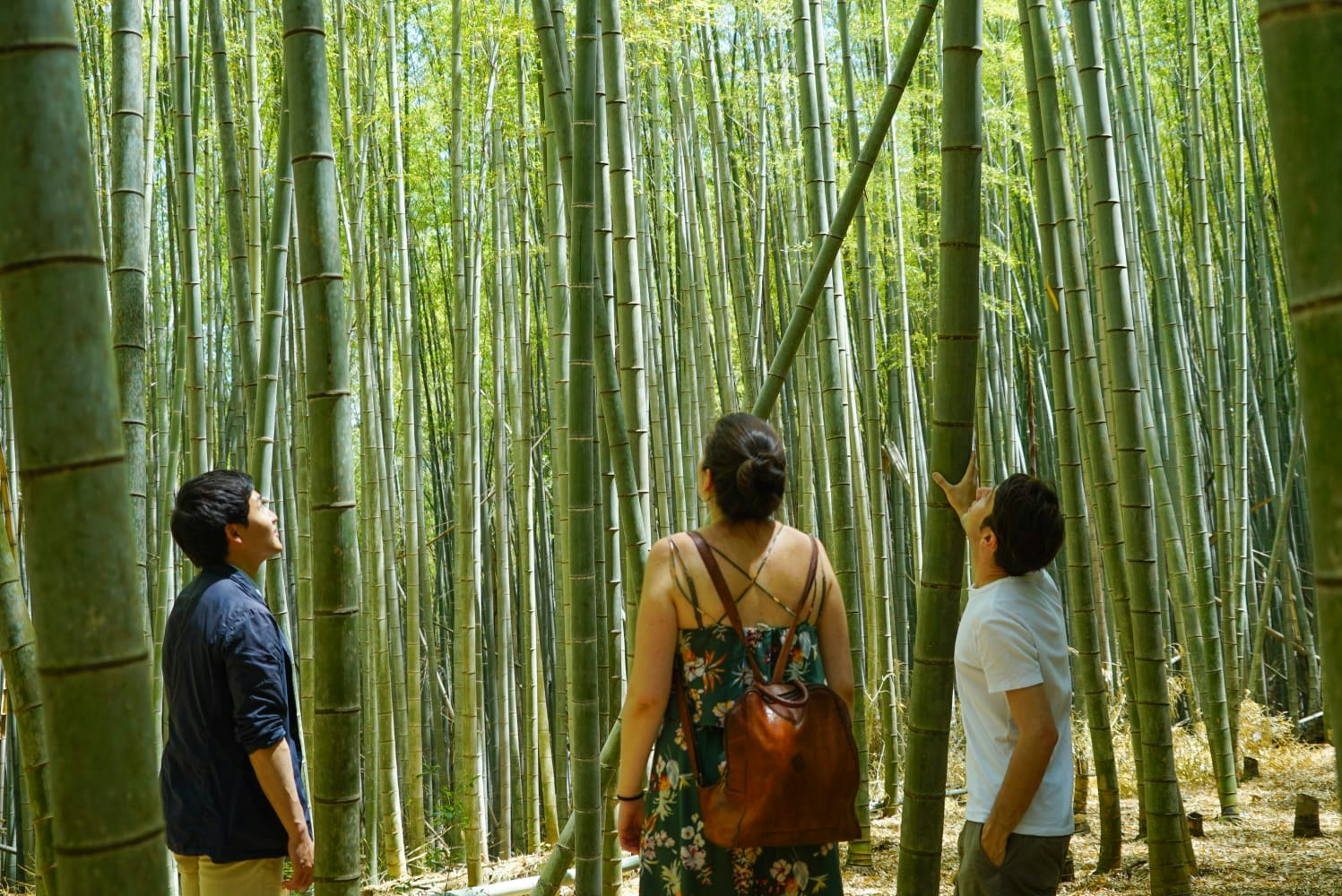 Fushimi Inari Shrine Hidden Trail