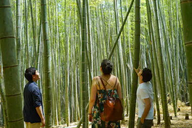 Fushimi Inari Shrine Hidden Trail