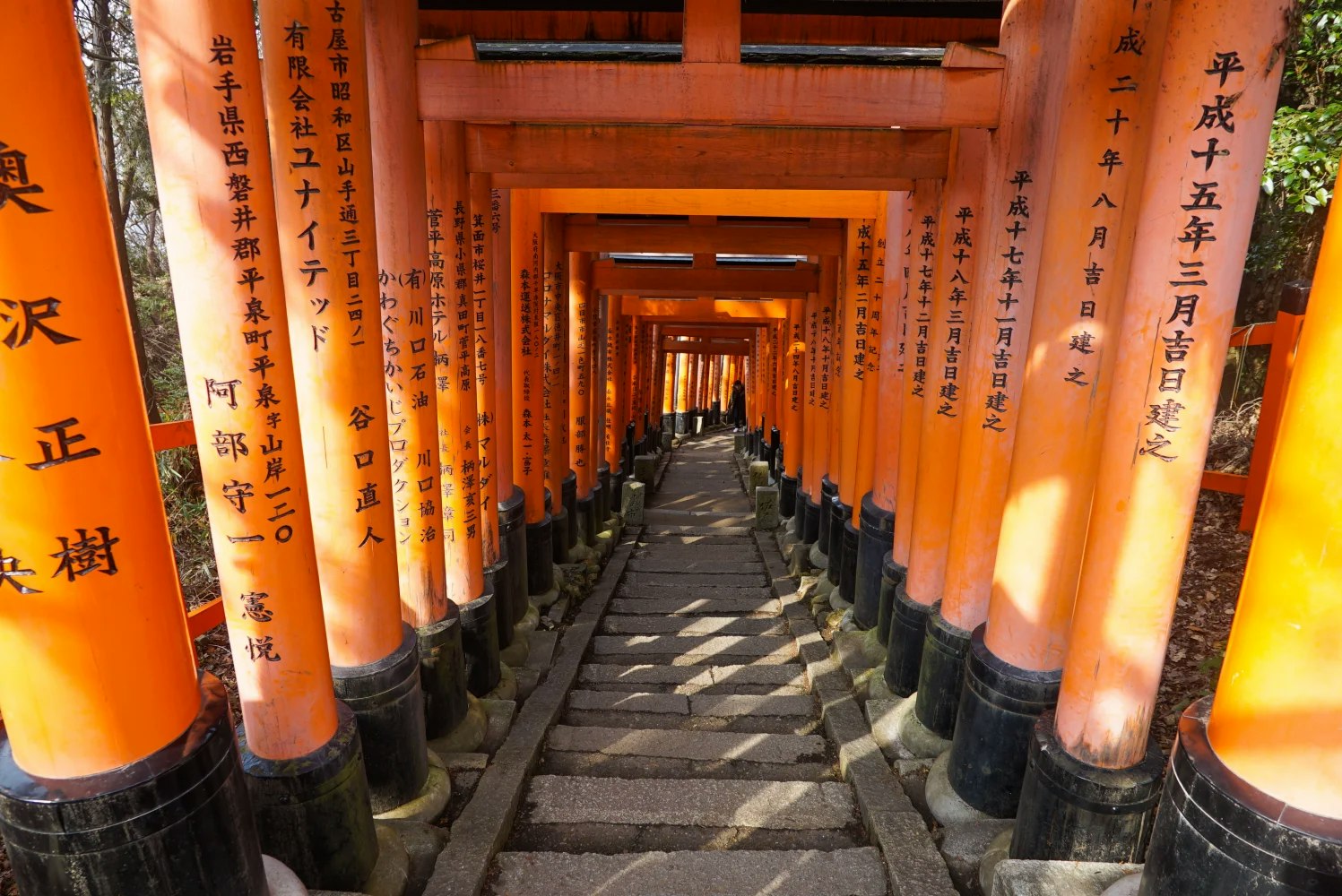 Fushimi Inari Shrine Hidden Trail