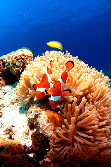 Kerama Islands