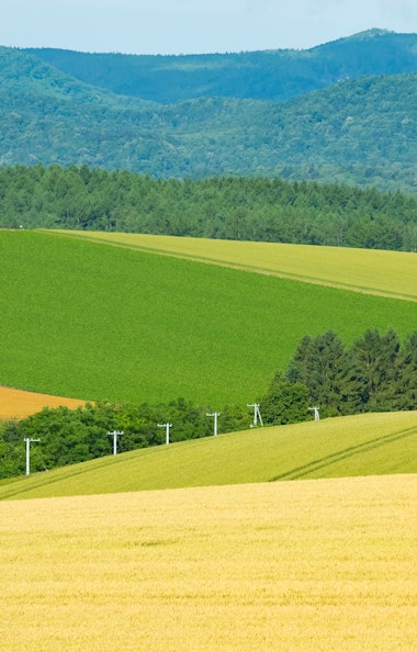 Biei Patchwork Road Biei Patchwork Road
