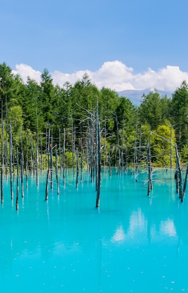 Shirogane Blue Pond Shirogane Blue Pond