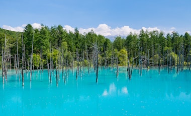 Shirogane Blue Pond