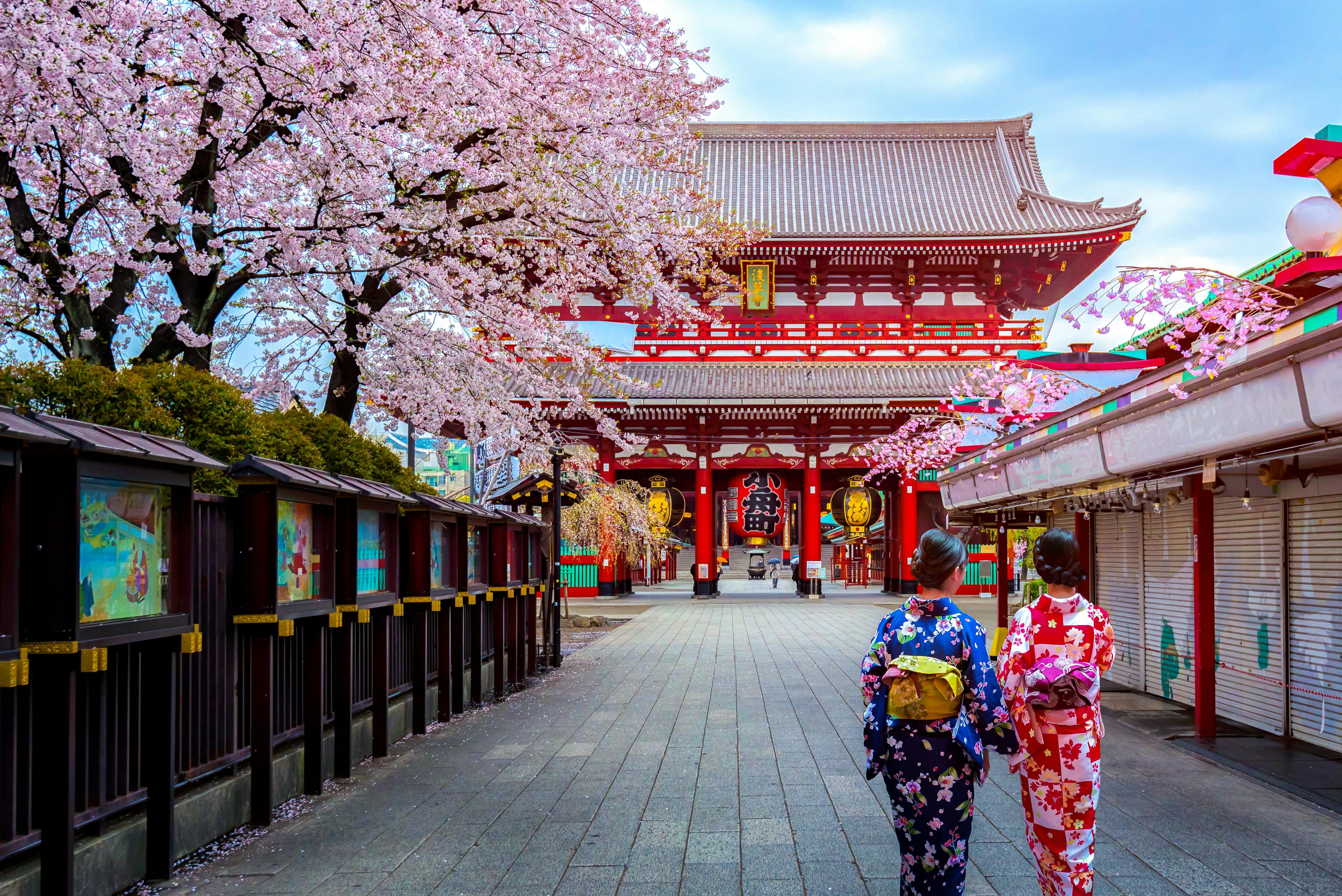 Two people in traditional kimonos walk towards a large red temple under blooming cherry blossom trees, with shops lining the pathway on both sides. The setting appears calm and picturesque.