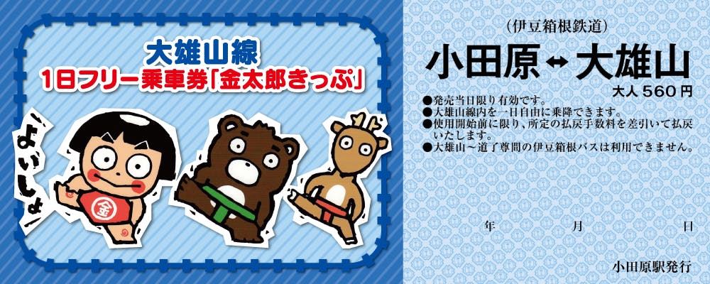 Izuhakone Railway Daiyuzan Line 1 Day Pass