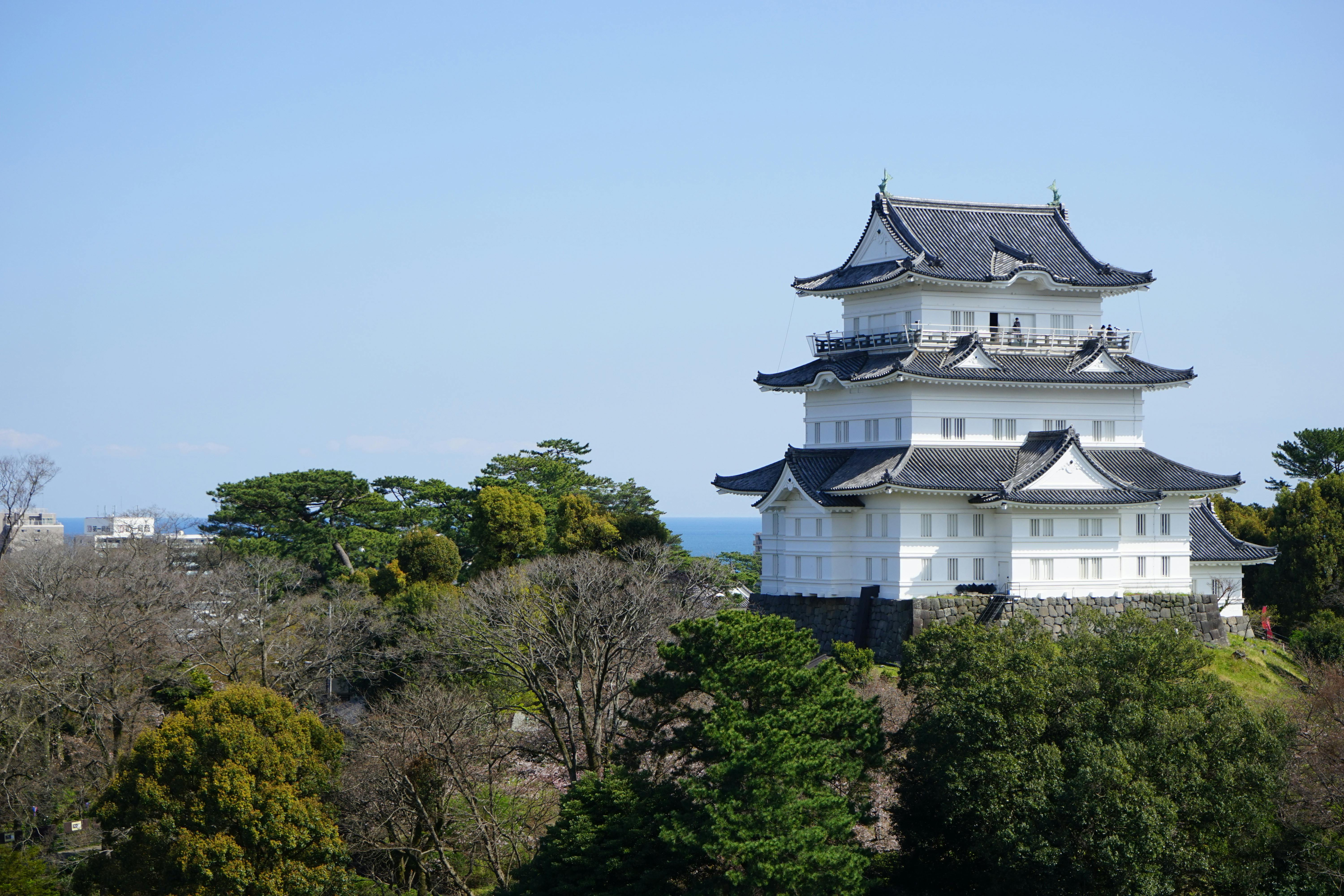 A traditional Japanese castle with white walls and dark, curved roofs stands surrounded by green trees, with a clear blue sky in the background.