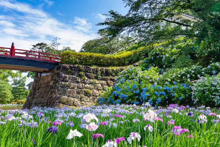Odawara Castle Park