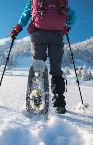 Snowshoeing Snowshoeing