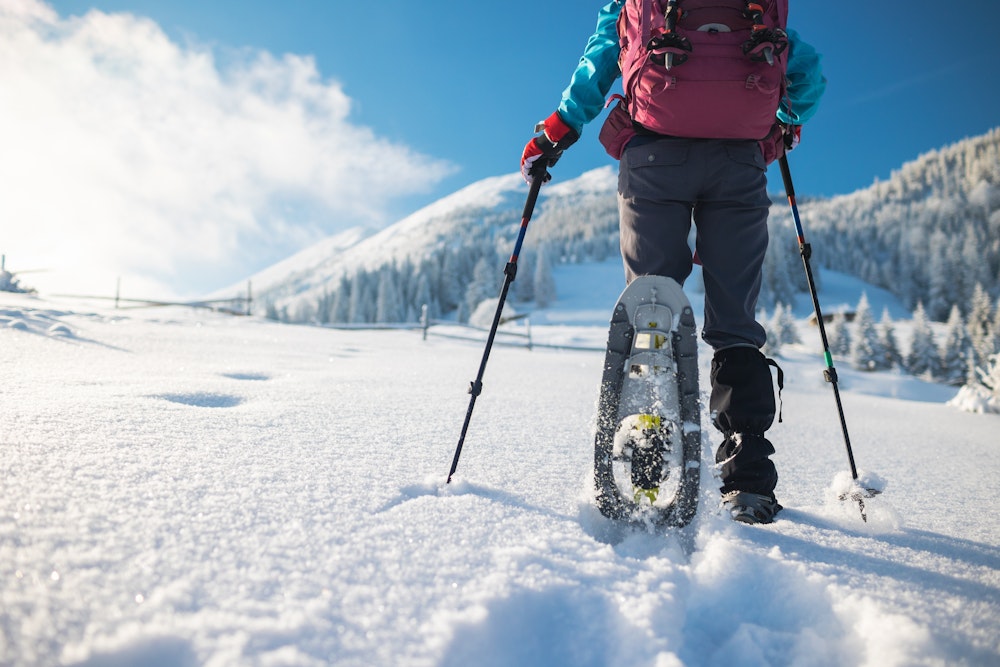 Snowshoeing