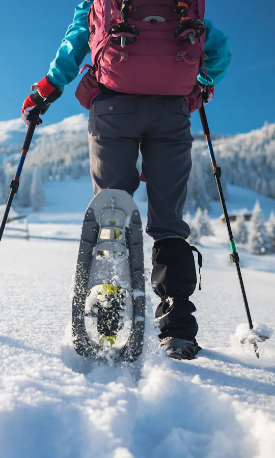 Snowshoeing Snowshoeing