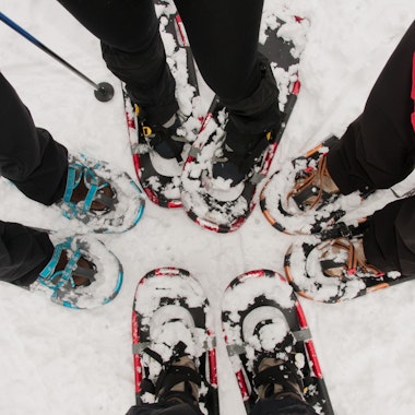 Snowshoeing Snowshoeing