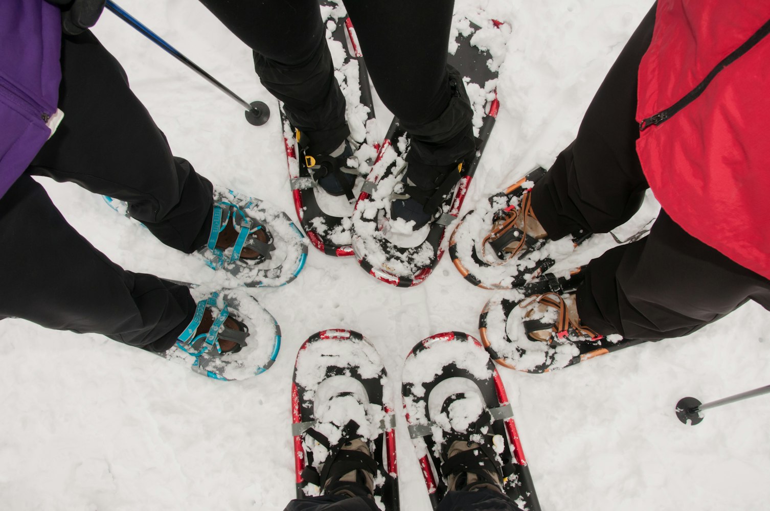 A group of people wearing snowshoes stands in a circle on a snowy surface. Each person wears different colored pants and snowshoes, ranging from black to red and brown, with snow covering the footwear.