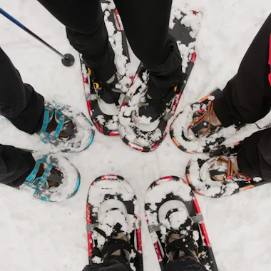 Snowshoeing Snowshoeing