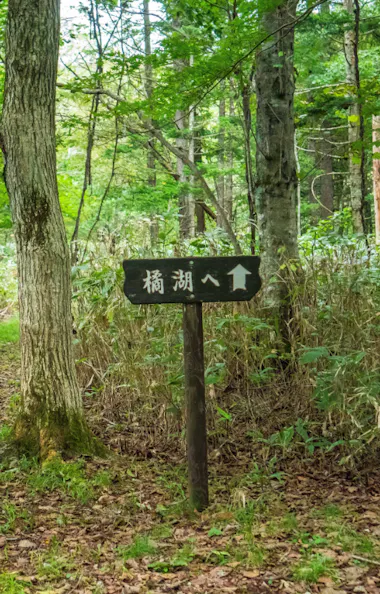 Tachibana Lake Tachibana Lake