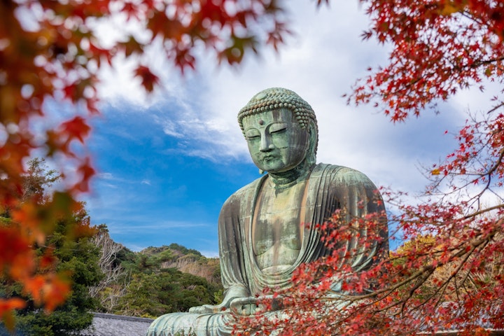 Kamakura Walking Tour: Temples, Trails & the Great Buddha