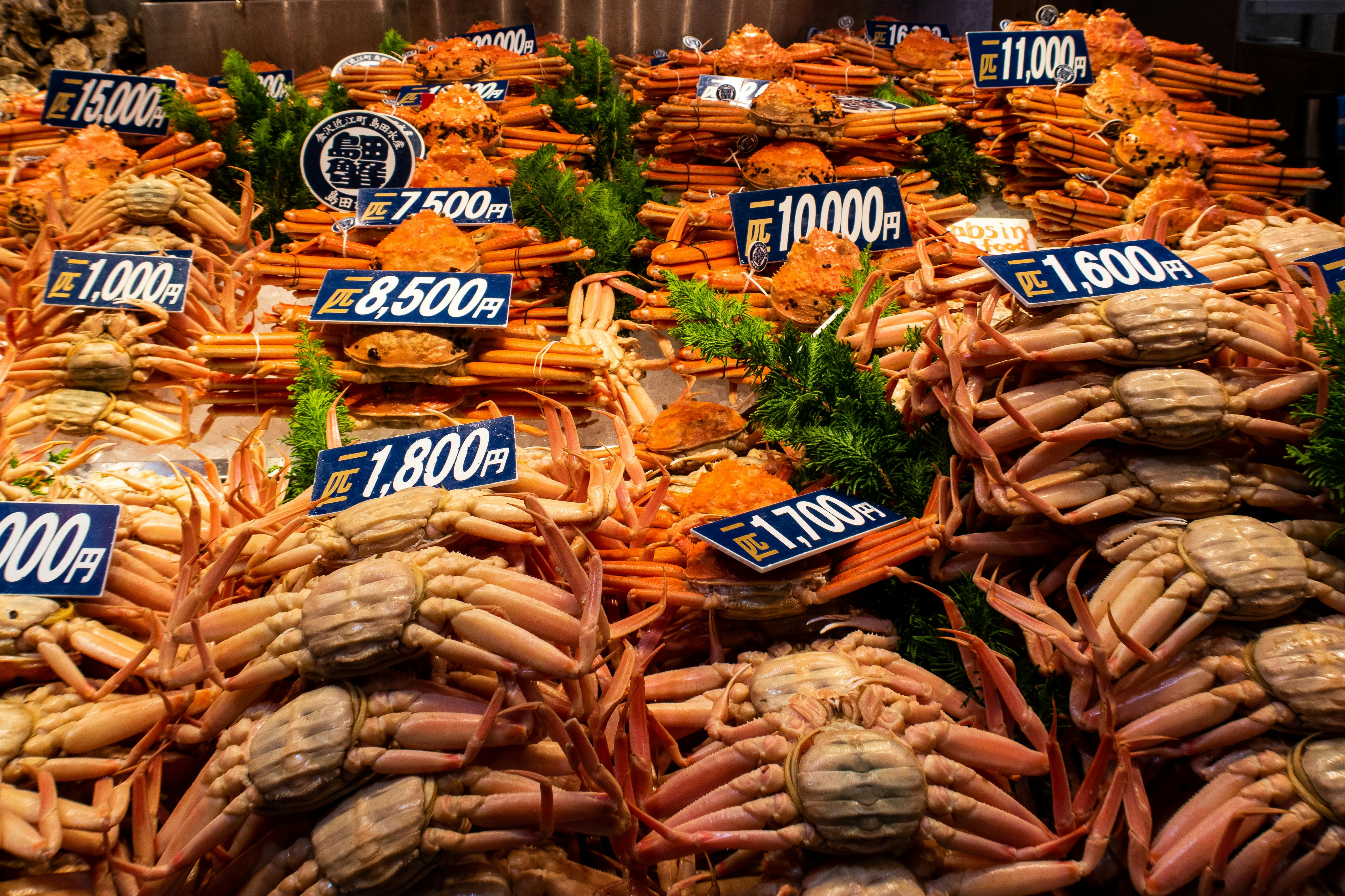 Stacks of crabs displayed for sale at a seafood market, with price tags in Japanese yen on top of each pile. Green garnish decorates the arrangement.