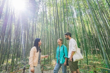 Arashiyama Tour