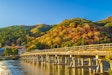 渡月橋