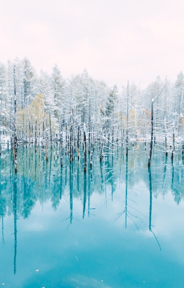 Shirogane Blue Pond (Aoiike) Shirogane Blue Pond (Aoiike)