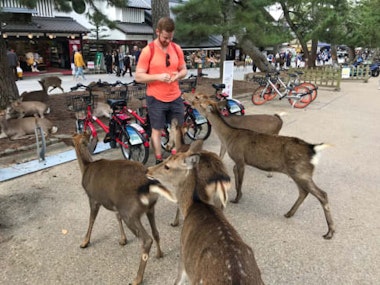 Nara Tour