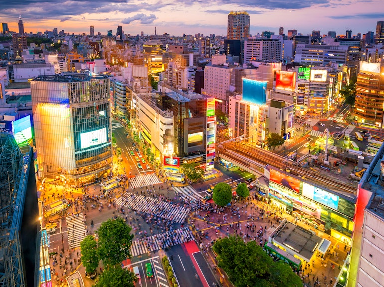 Modern Vegan Night Foodie Tour in Tokyo
