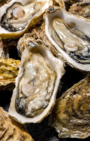 Hiroshima Oyster Hiroshima Oyster