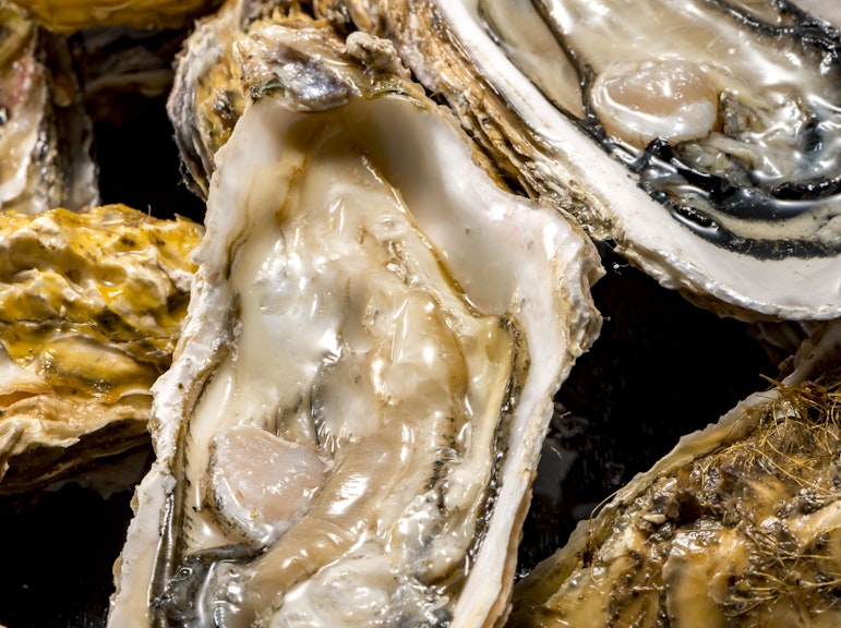 지역 가이드와 함께하는 히로시마 음식 투어