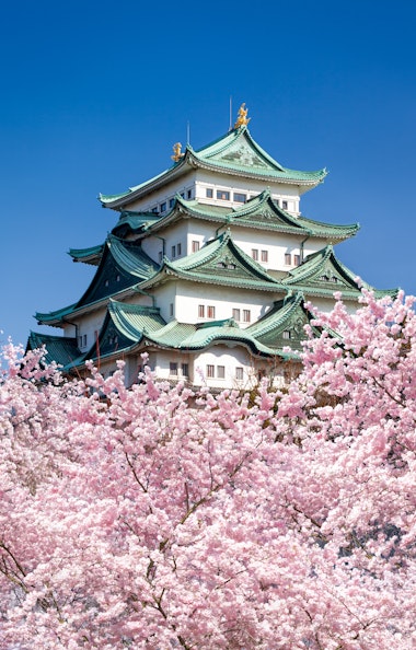 Nagoya Castle Nagoya Castle