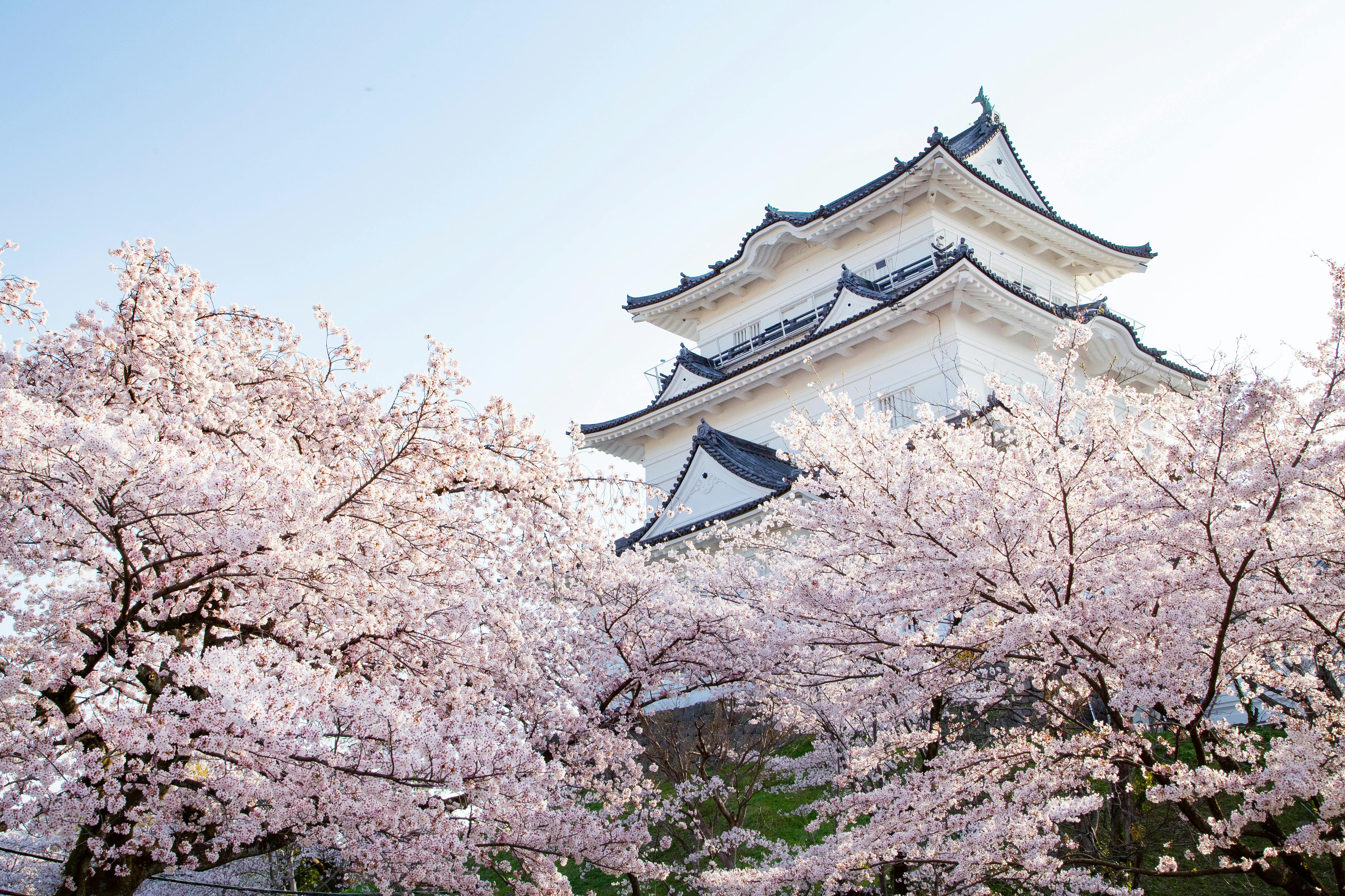 小田原城 - Trip To Japan