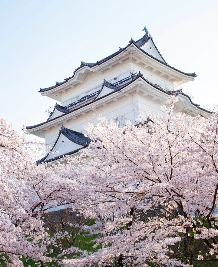 Odawara Odawara