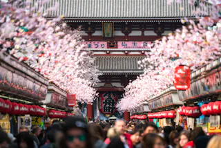 A crowded street lined with cherry blossom trees and red lanterns leads to a traditional Japanese temple with ornate architecture. Many people are walking, and the scene feels festive and lively.
