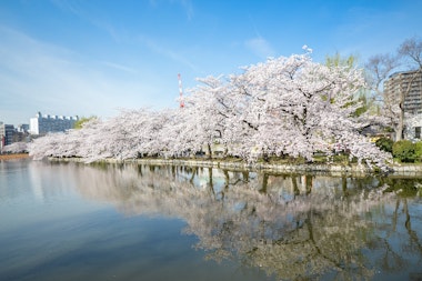 Ueno Park