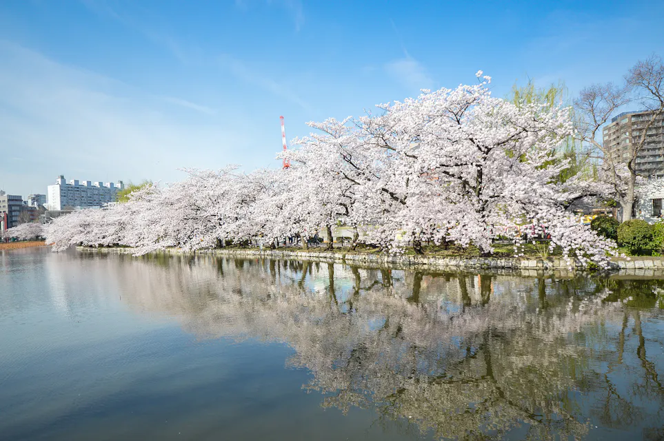 Ueno Park