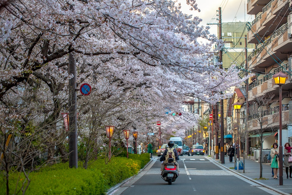 Kiyamachi Street