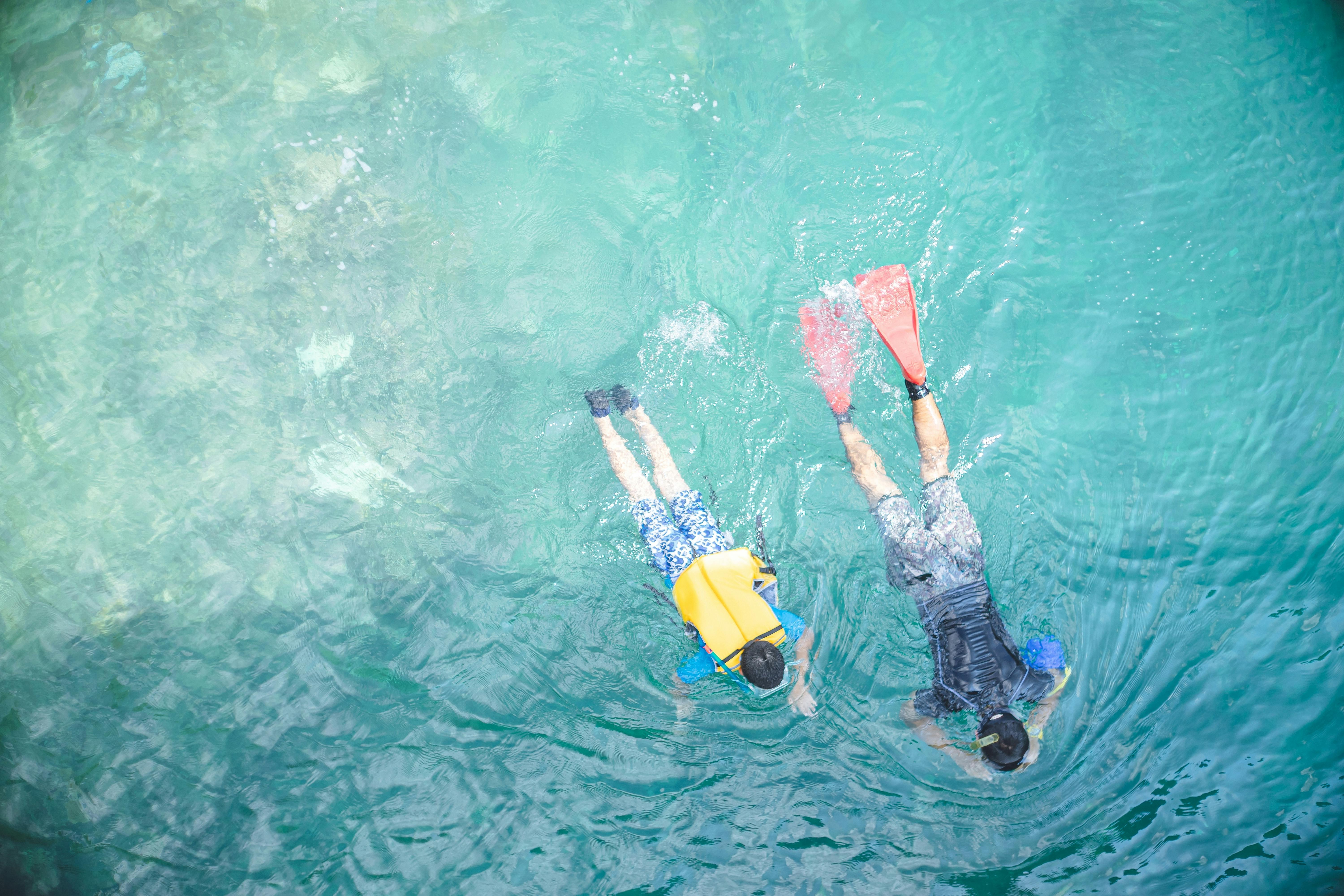 Snorkeling