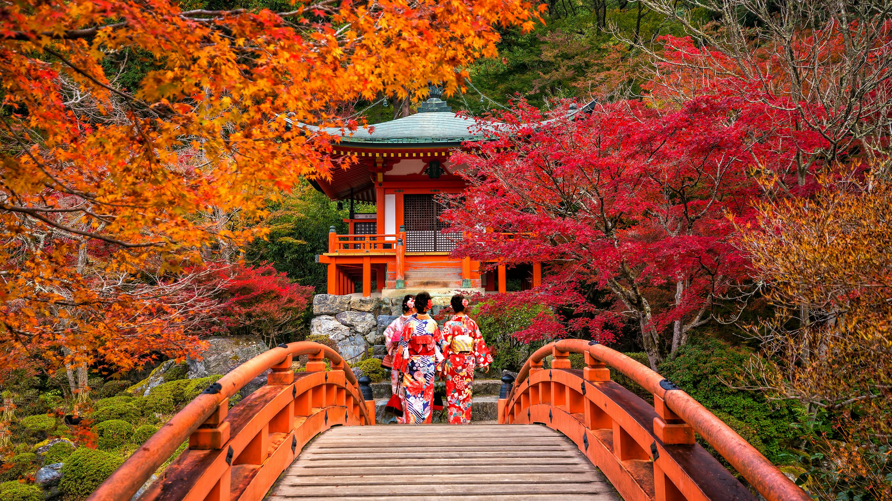 Two people in traditional kimonos walk across a red wooden bridge surrounded by vibrant autumn foliage, leading to a small Japanese pavilion in a lush garden.
