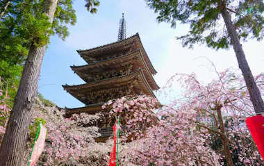 Daigoji Temple