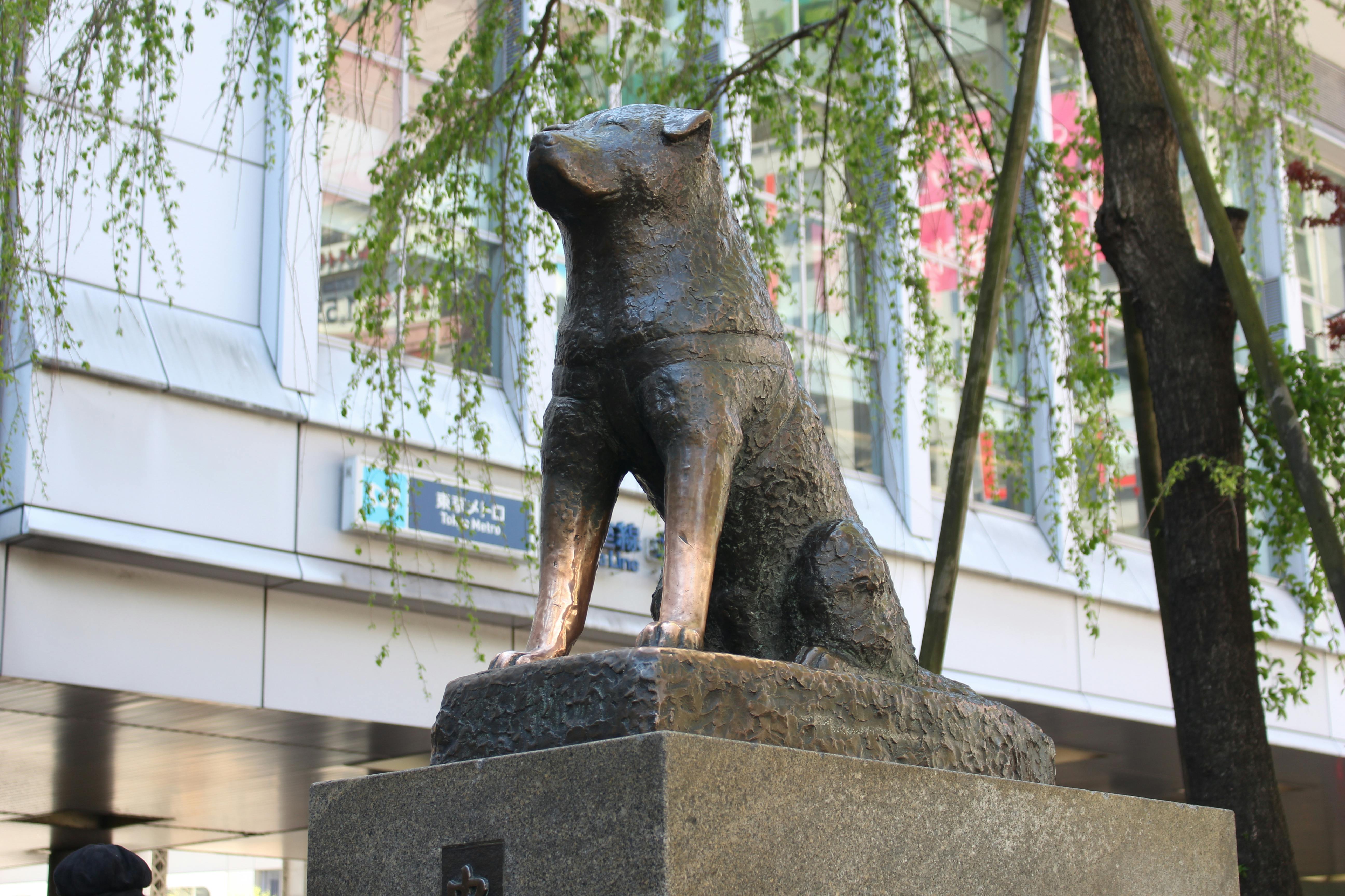A bronze statue of a dog sitting on a stone pedestal outdoors, with a building and green tree branches in the background.