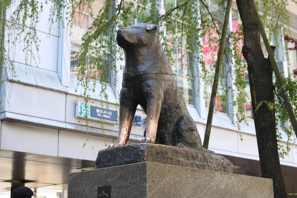 Hachiko Statue