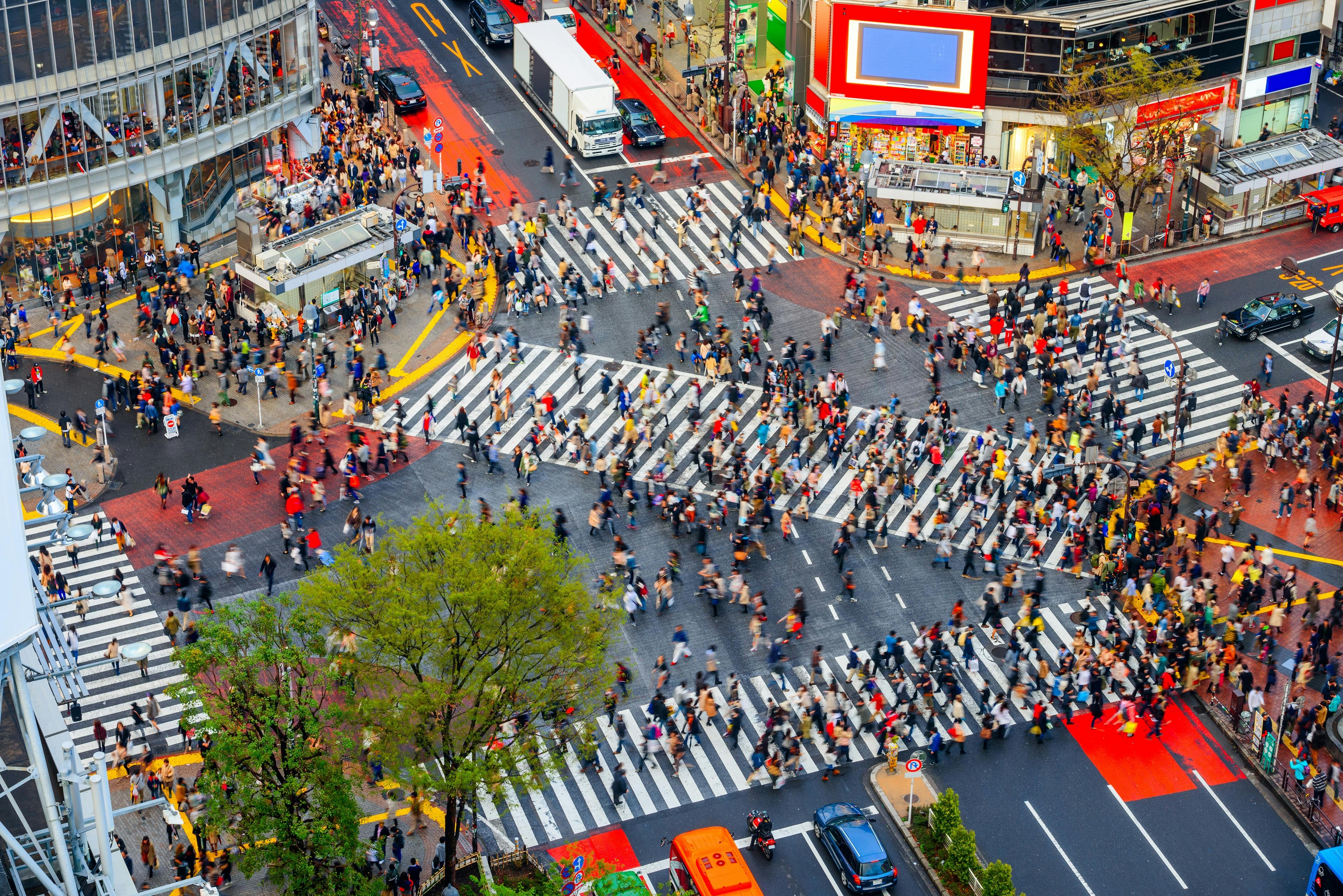 Shibuya Crossing - Trip To Japan