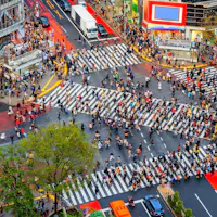 Shibuya Crossing Aerial view of a busy urban intersection with hundreds of people crossing wide striped crosswalks in different directions. Bright buildings, vehicles, and a tree are visible around the crowded crossing.