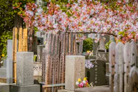 Yanaka Cemetery
