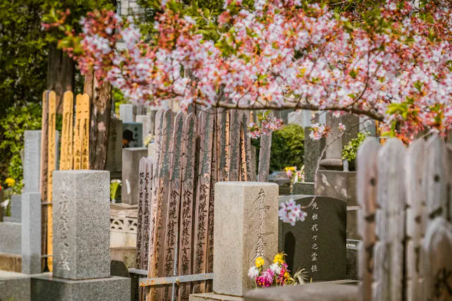 Yanaka Cemetery