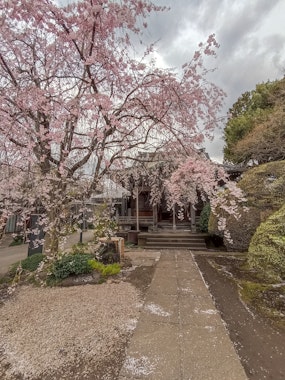 Tennoji Temple