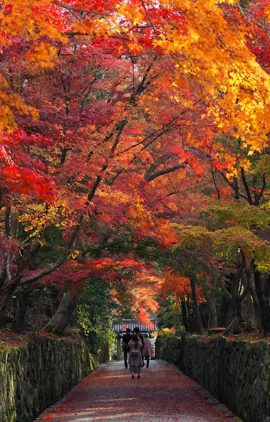 Koshoji Temple Koshoji Temple