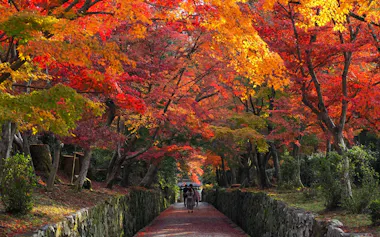 A tree-lined path covered in vibrant red and orange autumn leaves, with two people walking under the colorful foliage. Stone walls border the walkway, and greenery lines the sides.