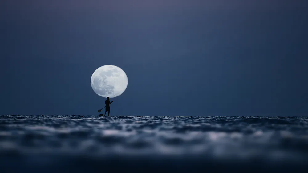Stand Up Paddling