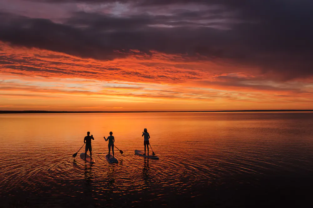Stand Up Paddling