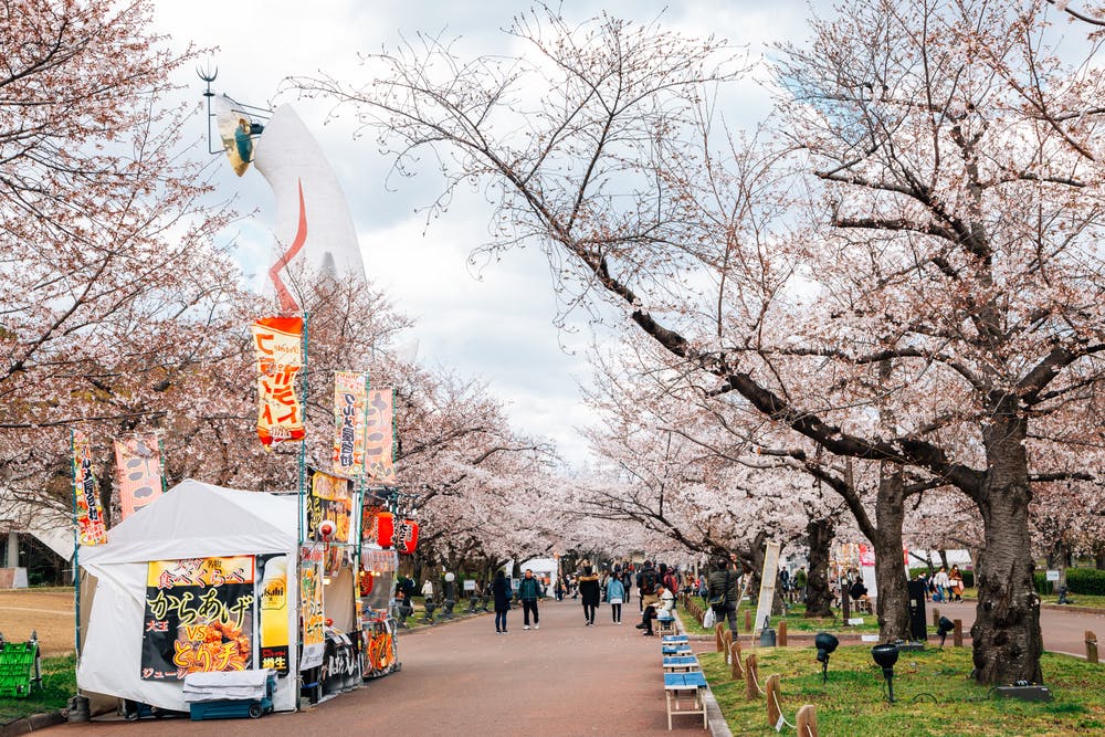 Expo '70 Commemorative Park: Highlights, Access & Tips - Trip To Japan